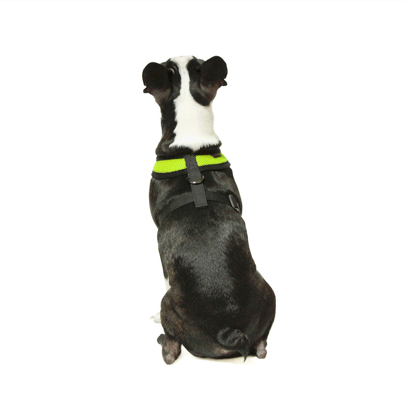 Gooby Dog Harness - Lime, Small - Soft Mesh Head-in Small Dog Harness with Breathable Mesh - Perfect on The Go Mesh Harness for Small Dogs or Cat Harness for Indoor and Outdoor Use Small chest (9.5-13") - PawsPlanet Australia
