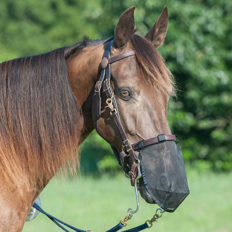 Cashel Quiet Ride Fly Mask, Nose Net Small - PawsPlanet Australia