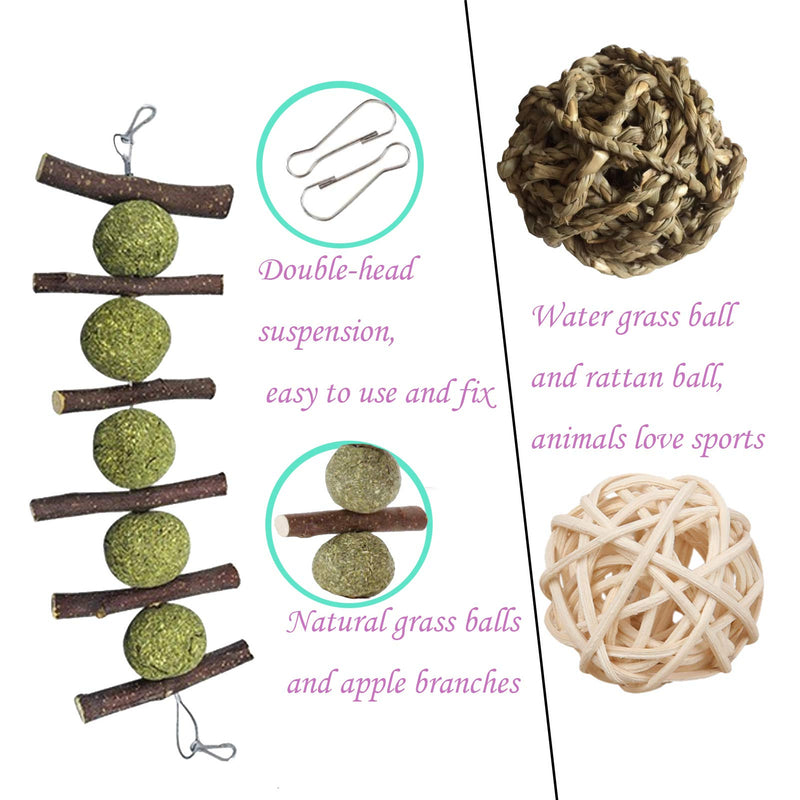 [Australia] - PD Bunny Chew Toys for Teeth, Double Head Suspension, Natural Apple Wood Sticks with Timothy Grass Balls, Improve Dental Health for Rabbits Chinchilla Hamsters Guinea Pigs Gerbils Squirrels 3 pcs 