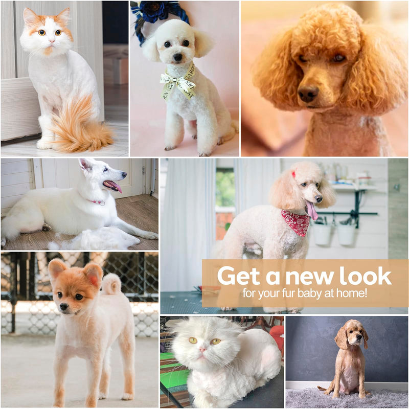 Masagotti Dogs Hair Clippers Grooming Kit with Nail Grinder, 4 in 1 Cordless Electric Trimmer Low Noise USB Rechargeable Pet Clippers for Dogs Cat,Grooming Paws, Eyes, Ears, Face,Matted Hair Dog Hair Clippers Kit - PawsPlanet Australia
