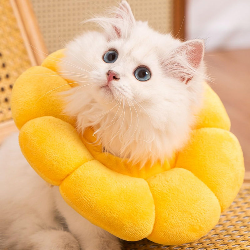 1 Piece Sunflower Collar with 2 Pieces Silicone Bath Brush, Adjustable Collar, Cat Surgery Recovery Collar, Soft Pet Collar - PawsPlanet Australia