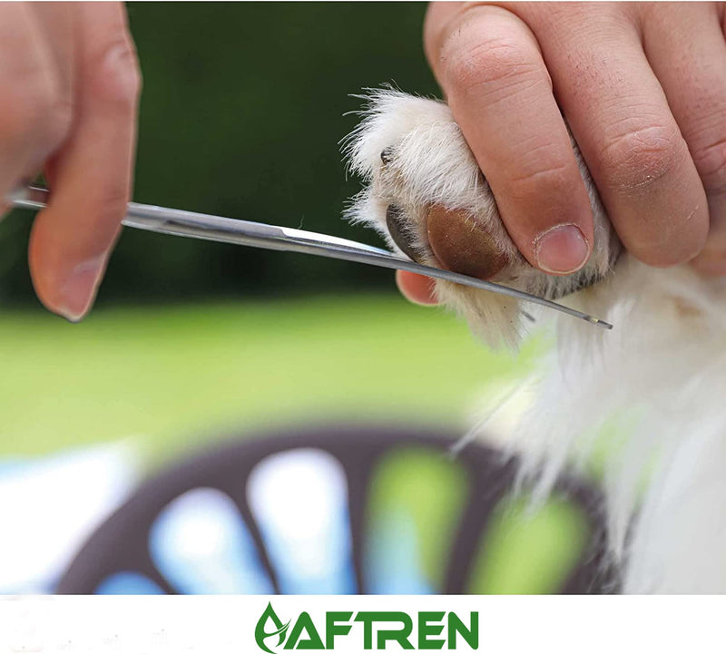 Pet Dog Grooming Trimmer Scissors Curved Hair Paw Scissors Round Tip Safety Scissors Stainless Steel for Dogs Cats (6.7 Inch) - PawsPlanet Australia