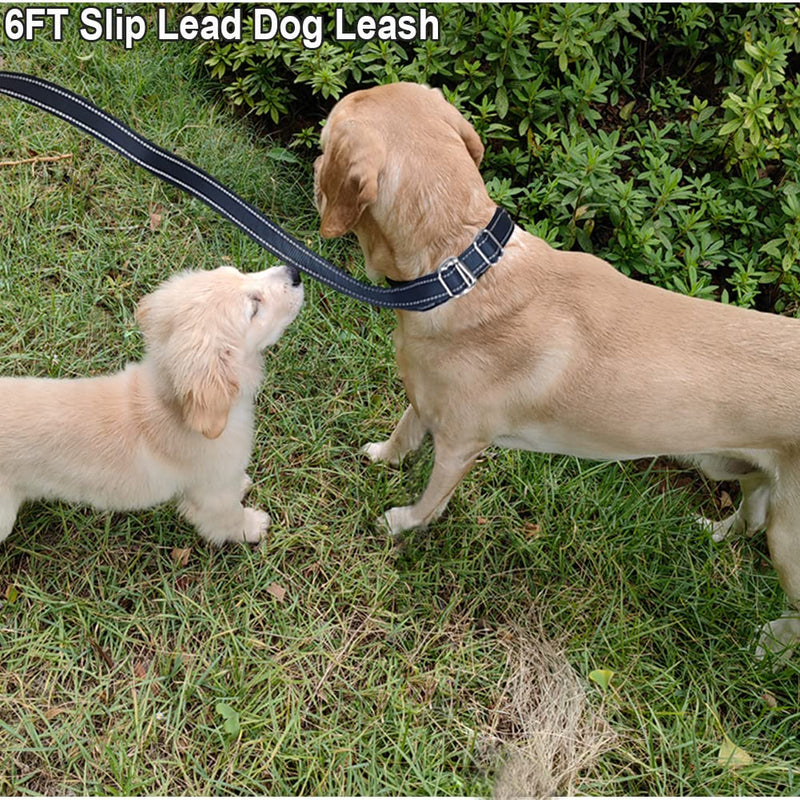 SEPXUFORE 6FT Slip Lead Dog Leash Anti-Choking, Reflective Strong Nylon Flat Dog Leash, No Pulling Dog Training Leash for Small Medium and Large Dogs/ Pets 6FT* 1" blue - PawsPlanet Australia