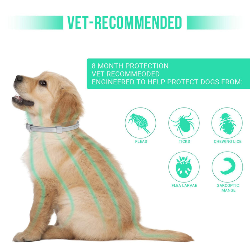 Flea and Tick Collar for Small Dogs,8-Month Tick and Flea Control for Dogs Under18 Lbs,Safe & Allergy Free, Waterproof, Adjustable,with Flea Comb,2 Pack - PawsPlanet Australia