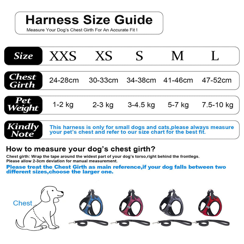 Suredoo Soft Mesh Dog Harness and Lead Set, Reflective Breathable Lightweight Padded No Pull Step-in Escape Proof Vest Harnesses with Leash for Small Dogs (XXS, Blue) XXS (Pack of 1) - PawsPlanet Australia