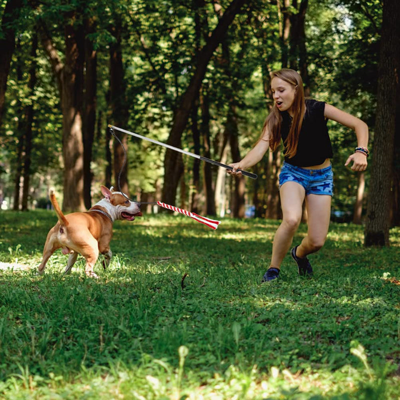 EXPAWLORER Extendable Dog Flirt Pole for Training & Chasing - Interactive Retractable Puppy Teaser Wand with 1 Plush Squeaky Octopus Dog Toy and 2 Dog Rope Toys Green - PawsPlanet Australia