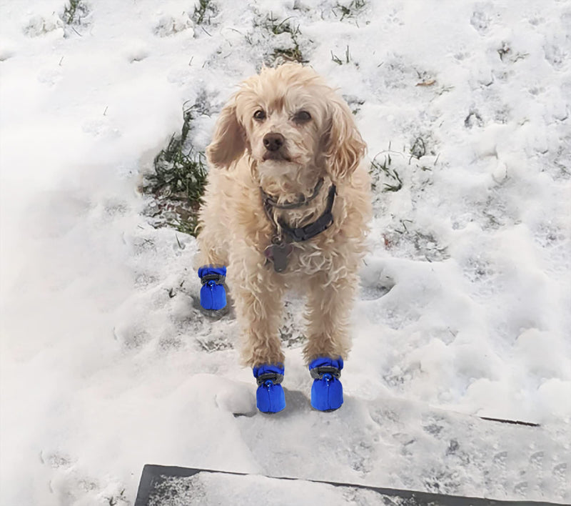 YAODHAOD Dog Boots Paw Protector, Anti-Slip Dog Shoes，These Comfortable Soft-Soled Dog Shoes are with Reflective Straps, for Small Dog (2, blue) 2 - PawsPlanet Australia