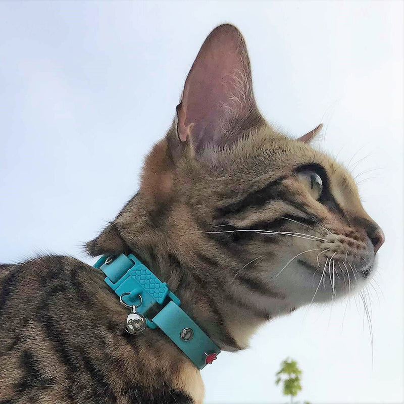 Kittyrama Cat Collar with Bell. As Seen in VOGUE. Breakaway, Quick Release, Hypoallergenic, Vet Approved. Lightweight Kitten Collar. Soft & Comfy. Aqua Adult - PawsPlanet Australia