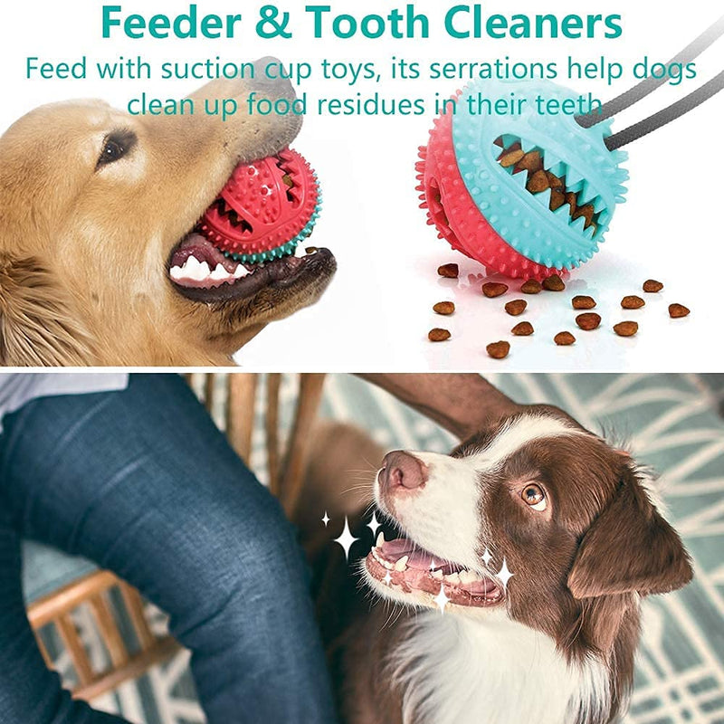 SONAMI Dog Ball Toys Dog Feeder Toy Chew Toys for IQ Training Natural Rubber toothbrush Toys Better Health and Behavior Keeps Pet Entertained Dog Chew Teeth Cleaning - PawsPlanet Australia