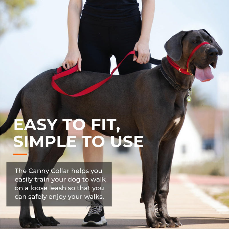 Canny Collar for dogs, simple and effective aid for dog training and prevents dogs from pulling - red size 2 - neck circumference 28-33cm - PawsPlanet Australia