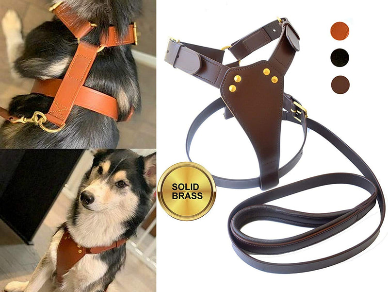 SIE EQUESTRIAN TUGBY XS/S/M/L/XL/XXL Dog Leather Harness Sets with Matching Dog Lead Chestnut - PawsPlanet Australia