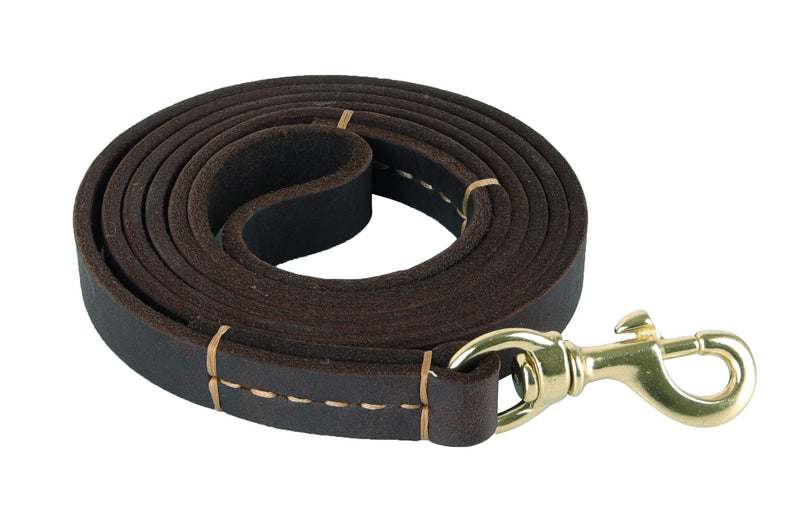 [Australia] - kgt Leather Dog Strong Leashes for Larger Dog Training Leather Walking Leash Heavy Duty Leather Dog Leash L6 Ft-W4/5 in 