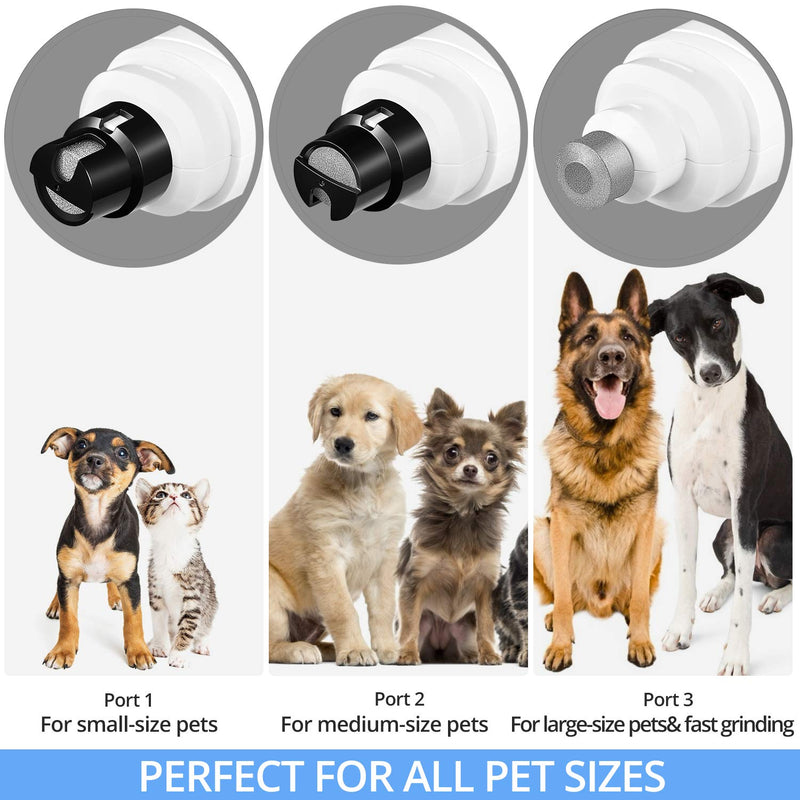 [Australia] - AUTOXEL [Upgrade] Dog Nail Trimmers, Professional 2-Speed Electric Rechargeable pet Nail Grinder for Small/Medium/Large Dogs & Cats, Including Nail Clippers and Trimmers 