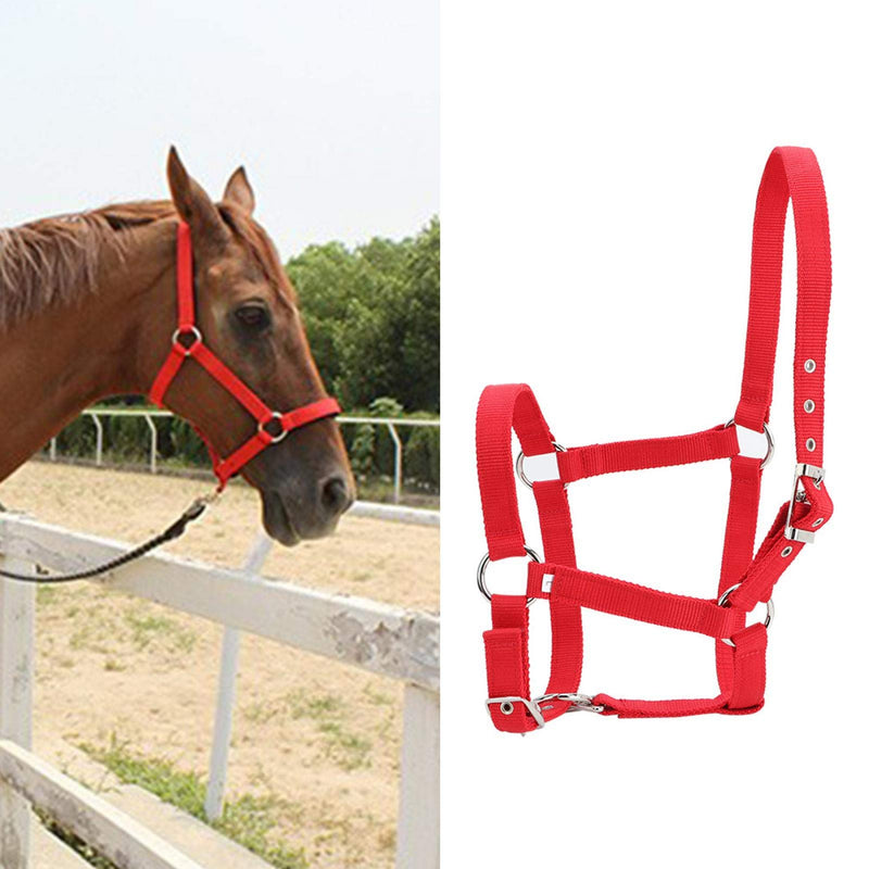 Horse Bridle, Adjustable Red Horse Riding Halter, PP Replacement for Restraint Horse Control Horse - PawsPlanet Australia