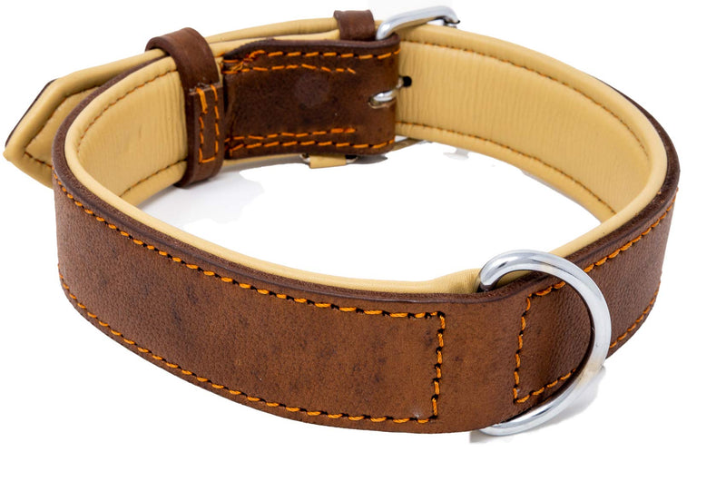 Riparo Genuine Leather Padded Dog Heavy Duty K-9 Adjustable Collar L: 3.8CM Wide for 45.7CM - 53.3CM Neck Brown - PawsPlanet Australia