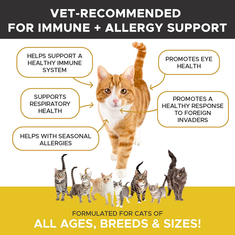 PetHonesty Lysine Immune Health+ Supplement Powder for Cats - Immune Health, Cat Allergy Relief - Sneezing, Runny Nose, Watery Eyes - Cats & Kittens of All Ages - Omega 3s, L-Lysine - Chicken & Fish - PawsPlanet Australia