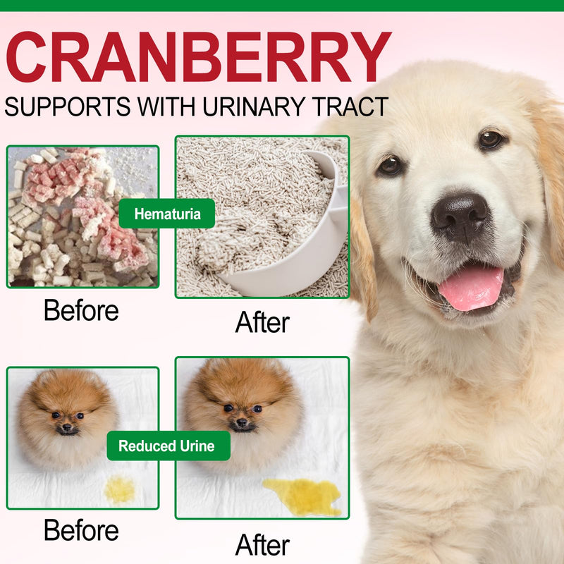 Bladder and Kidney Support for Dogs, Urinary Tract Treatment and Bladder Control Supplement, Soft Chews with Cranberry D-Mannose, Natural Immune System Booster Peking Duck Flavor, 30pcs - PawsPlanet Australia