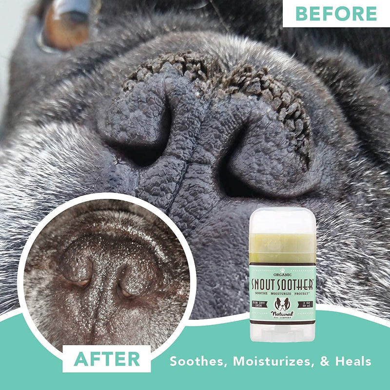 Natural Dog Company Snout Soother, Dog Nose Balm for Chapped, Crusty and Dry Dog Noses, Organic, All Natural Ingredients 2oz Stick - PawsPlanet Australia