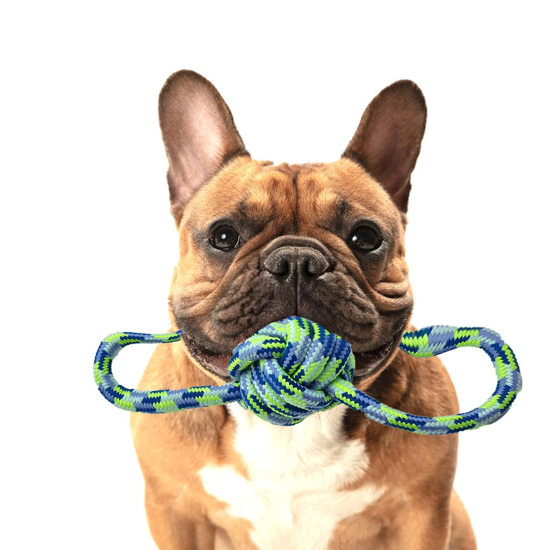 Tug of War  Dog Rope Toy  Bright Blue Coloured  Keep Teeth Strong  Great for Fetch and Tug-of-War  Suitable for Indoor & Outdoor Play  NO MORE DAMAGE TO HOME - PawsPlanet Australia