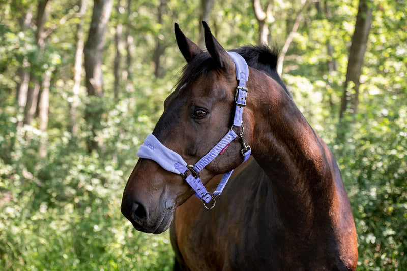 LeMieux Vogue Fleece Headcollar & Rope - Papaya Full - PawsPlanet Australia