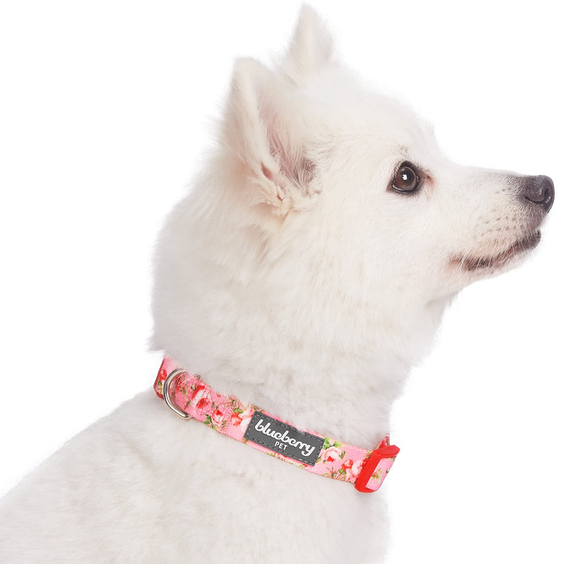 Blueberry Pet 10+ Patterns Spring Scent Floral Dog Collars, Personalized Collars Regular Collar - X-Small Rose Baby Pink - PawsPlanet Australia