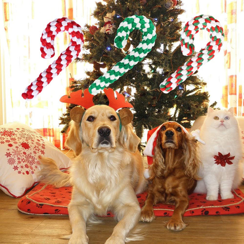 Lircentoud Pack of 3 dog toy rope, dog chew toy Christmas, dog toy Christmas, dog chew toy rope, pet toy Christmas, candy cane toy pet 3 pieces, style 1 - PawsPlanet Australia