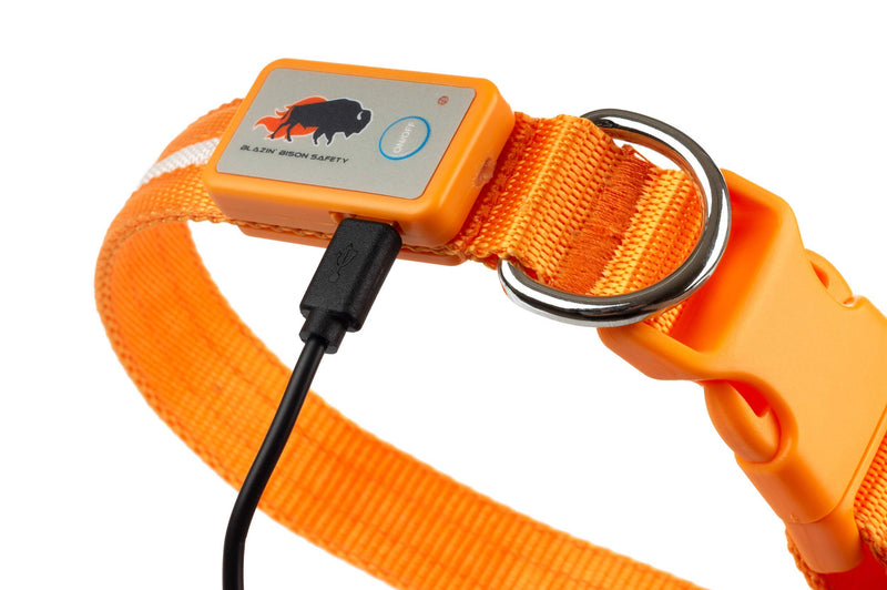 Blazin' Safety LED Dog Collar – USB Rechargeable with Water Resistant Flashing Light – Large Orange - PawsPlanet Australia