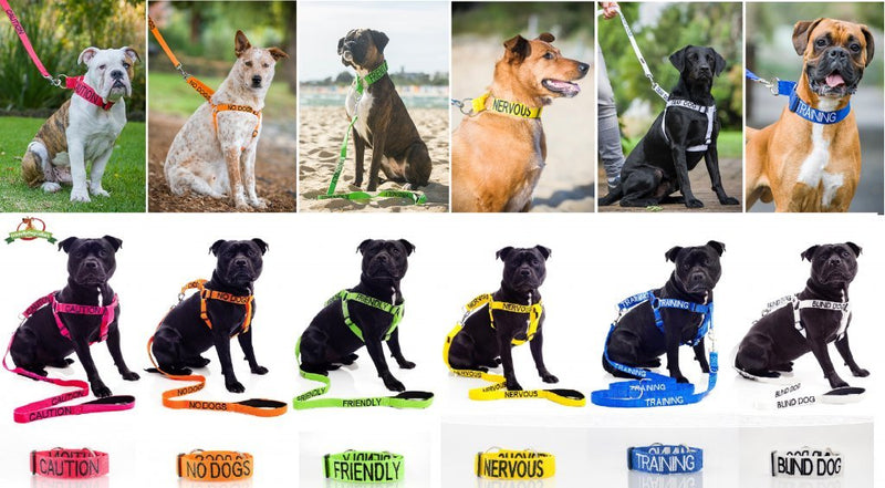 [Australia] - Dexil Limited Service Dog Blue Red Green 2ft 4ft 6ft Padded Dog Leash Prevents Accidents by Warning Others of Your Dog in Advance Leash 4 Foot 