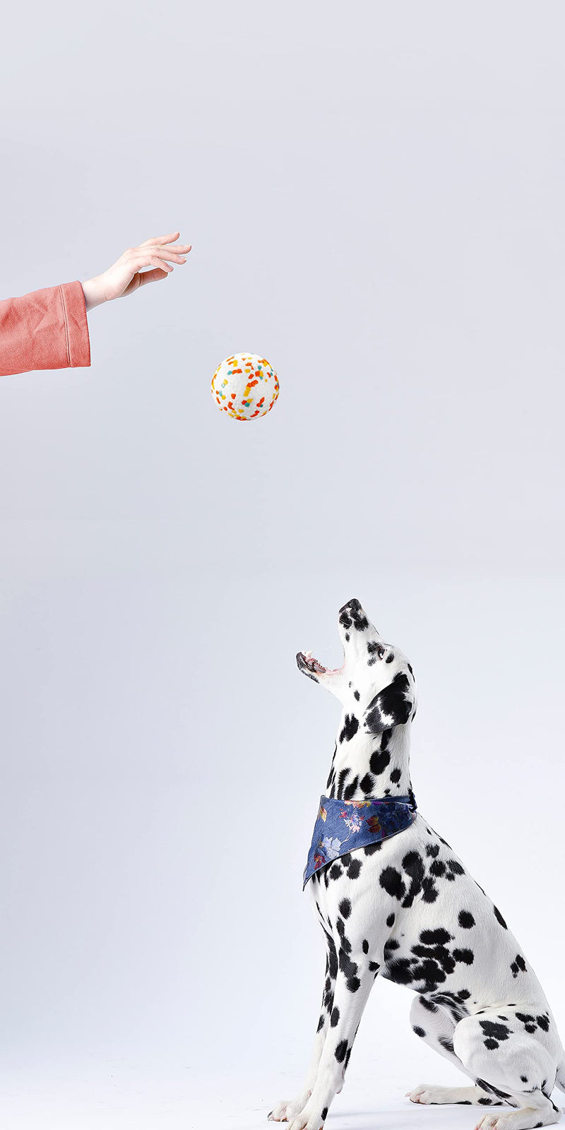 JEROCK Dog Balls, Indestructible Dog Toy Ball for Aggressive Chewers, Durable High Elasticity Interactive Ball for Training Dog Catch and Fetch, Light Weight & Floats in Water 2.5 inches - PawsPlanet Australia