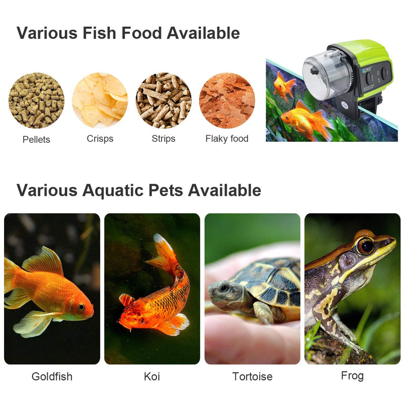 Automatic Fish Feeder, Lychee Fish Feeder Fish Food Vacation Feeder Moisture-Proof Electric Timing Automatic Feeder for Aquarium Fish Tank - PawsPlanet Australia