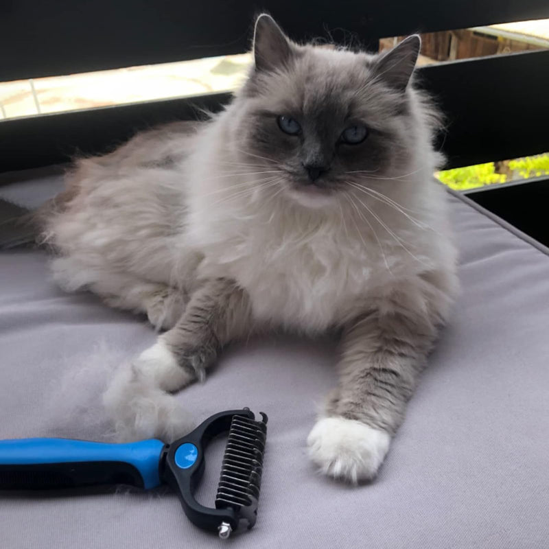 Dog brush undercoat Cat brush long hair Double-sided 9+17 dog brush Undercoat brush against matting and undercoat Grooming brush for pet care Against matting and undercoat - PawsPlanet Australia