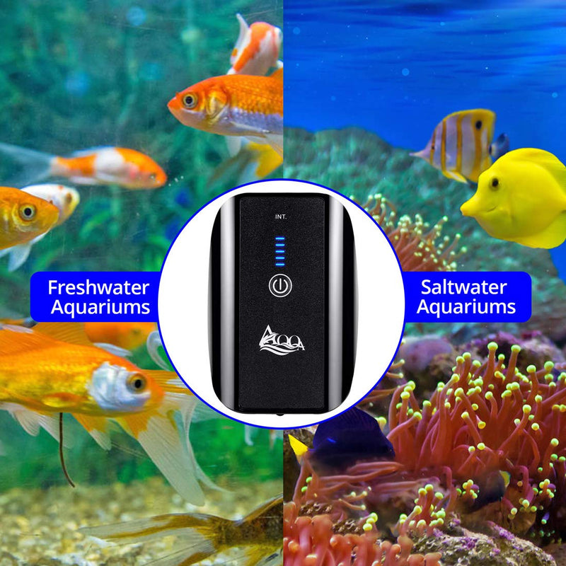 AQQA Aquarium Air Pump, Battery Rechargeable Portable Bubbles Oxygen Pump for Fresh & Saltwater Aquariums with Air Stone, Tubes, USB Cable and Adapter 1.7 W for 1-100Gal tank - PawsPlanet Australia