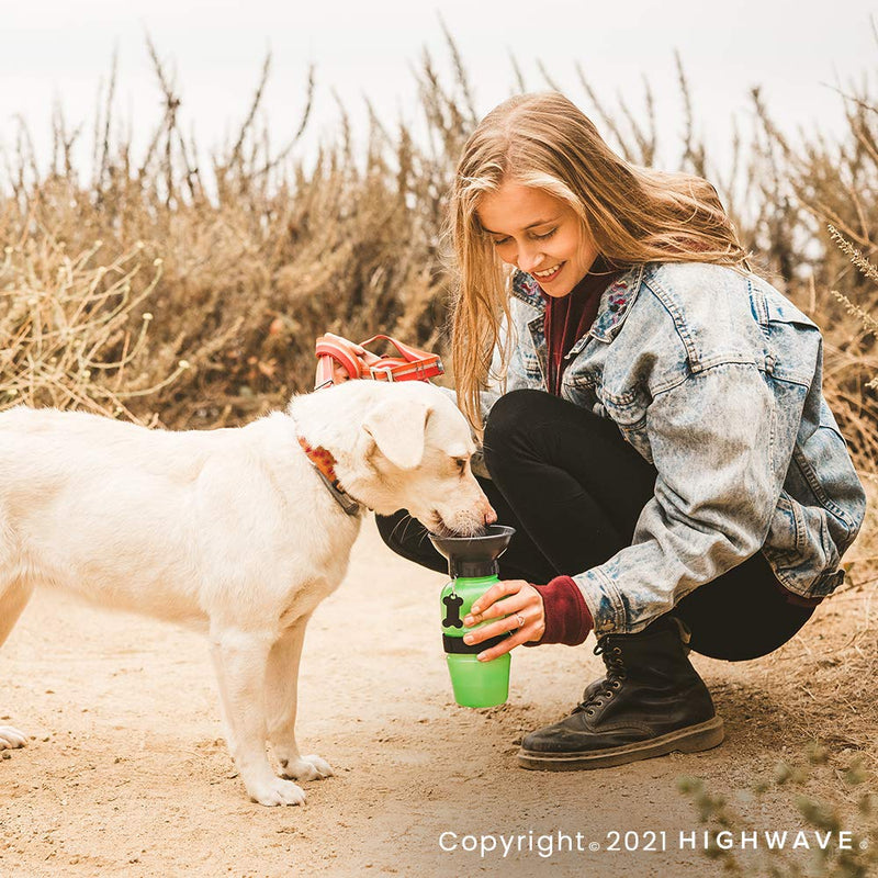 Highwave AutoDogMug Green - PawsPlanet Australia