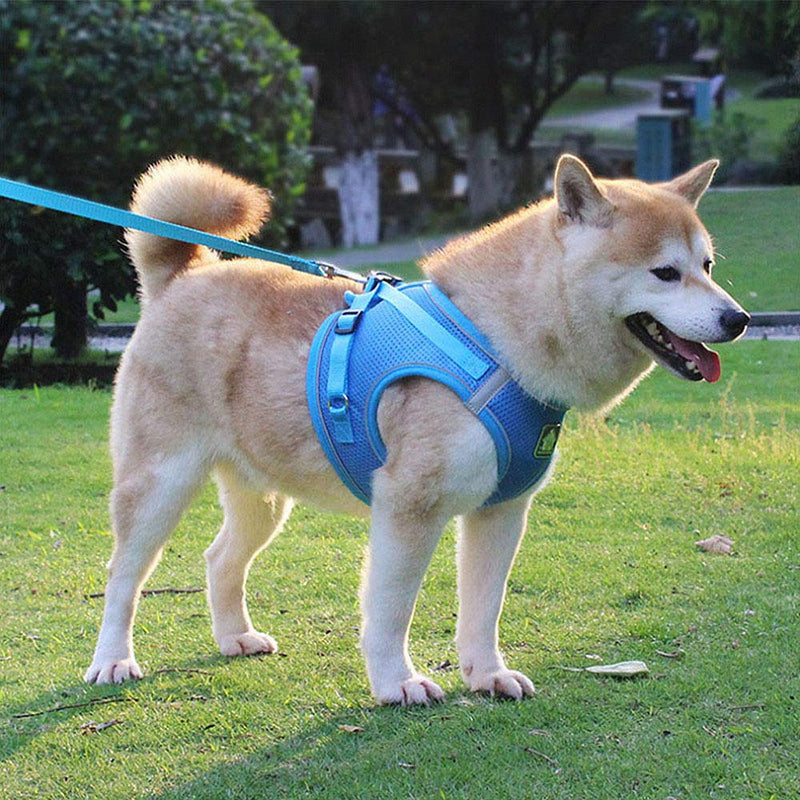 Adjustable Reflective Pet Vest Harness Breathable Mesh Dog Harness No Pull Vest Harness for Outdoor Walking Training - PawsPlanet Australia