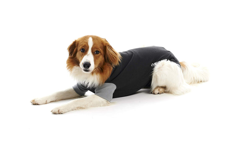 Buster Classic Body Suit for Dogs, XXX-Small, Black/Grey - PawsPlanet Australia