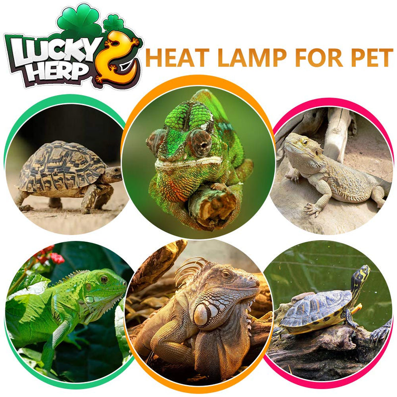 LUCKY HERP UVA+UVB Mercury Vapor Bulb High Intensity Self-Ballasted Heat Basking Lamp/Bulb/Light for Reptile and Amphibian 80W - PawsPlanet Australia