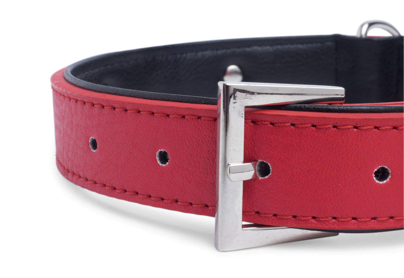 Petface Bones Pattern Dog Collar, Medium, Red - PawsPlanet Australia