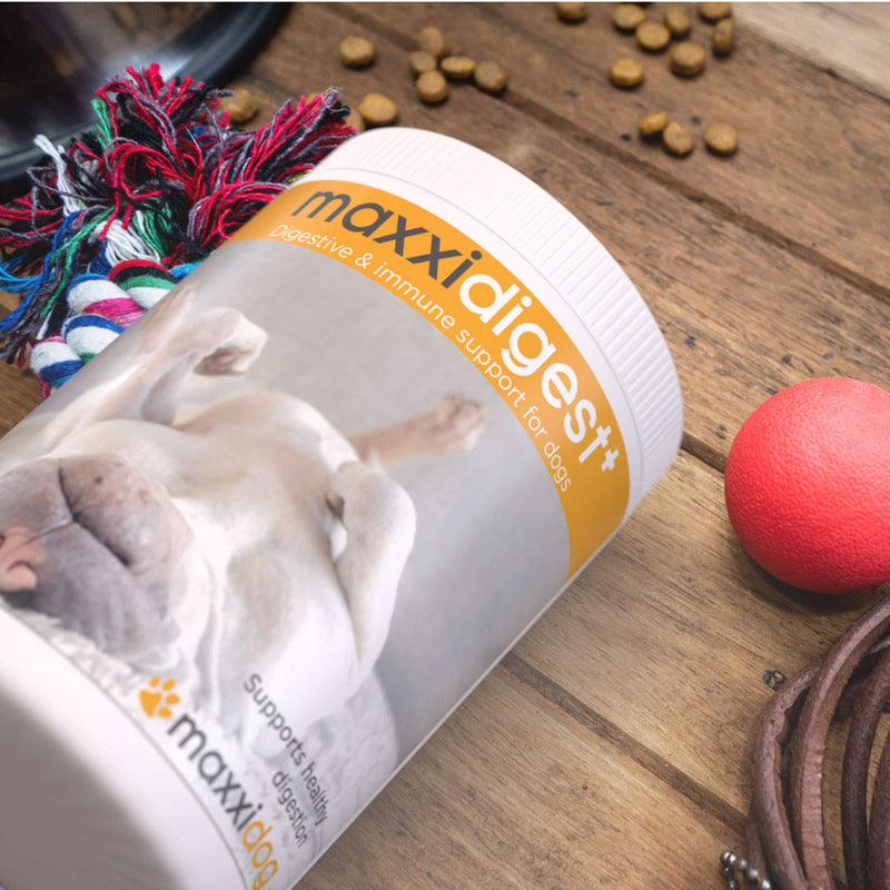 maxxipaws maxxidigest+ Probiotics, Prebiotics and Digestive Enzymes - Digestive and Immune Support Supplement for Dogs – Powder 375 g - PawsPlanet Australia