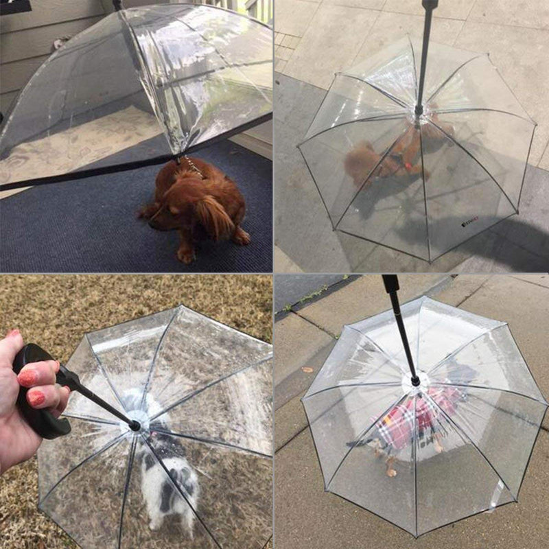 Enjoying Pet Umbrella Dog Umbrella with Leash Rain Proof Snow-Proof Umbrella for Small Dogs - PawsPlanet Australia