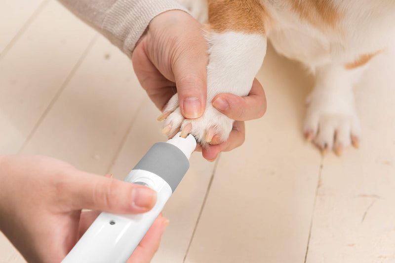 [Australia] - PET NAIL GRINDER - BEST Rechargeable Cordless DOG NAIL Trimmer for Dogs & Cats - Easy & Comfortable to Use - Quiet Motor, Two Speed Options with Light Indicator - Great for Small, Medium, Large Nails. 