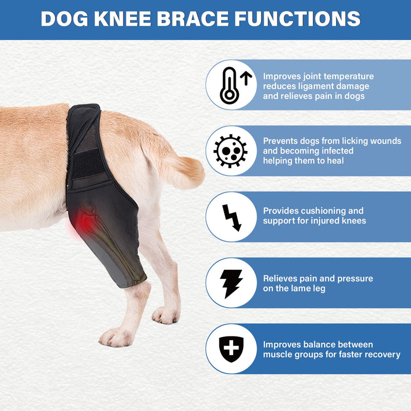 Dog Knee Brace Dog Leg Brace for Support with Cruciate Ligament Injury Dog Leg Brace for Torn acl Hind Leg Better Recovery with Dog ACL Knee Brace Dog Hip Support Brace Pet Knee Brace (M) Medium - PawsPlanet Australia