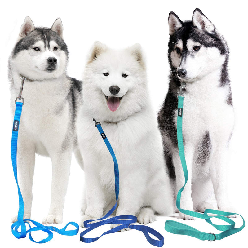 azuza 3 Pack Nylon Dog Leashes,Strong & Durable Basic Style Leash with Easy to Use Collar Hook,Available in Multiple Lengths for Puppy Small Medium and Large Dogs standard 3 pack 1"×4ft Blue - PawsPlanet Australia