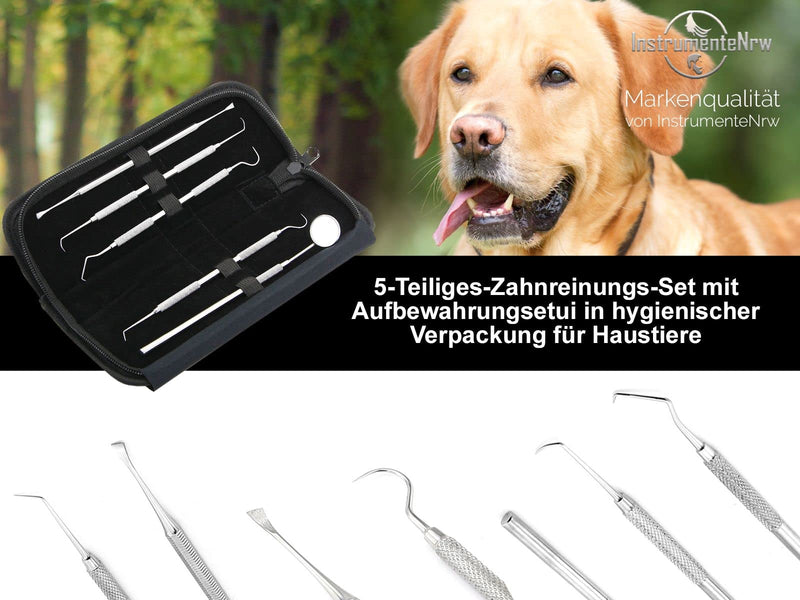 Dog Tartar Remover Set Scaler Tooth Cleaner for Pets Toothbrush Replacement Made of Stainless Steel Teeth Cleaning Dental Care Tartar Scraper (Type 26) Type 26 - PawsPlanet Australia