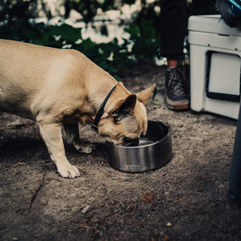 [Australia] - YETI Boomer 8 Stainless Steel, Non-Slip Dog Bowl, Holds 64 Ounces 