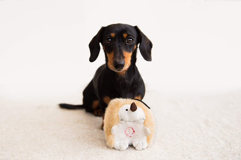 Pet Qwerks Dog Squeak Toys - Fun Interactive Squeaky Plush Pet Toy | with Cute Funny Sounds to keep boredom at bay - Choose from Various Animal Characters Hedgehog (4.5 in) - PawsPlanet Australia