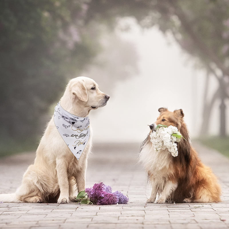 4 Pieces Wedding Dog Bandana My Humans are Getting Married Pet Bandana She Said Yes Dog Scarf Dog Engagement Announcement Pet Wedding Photo Prop for Dogs and Cats - PawsPlanet Australia