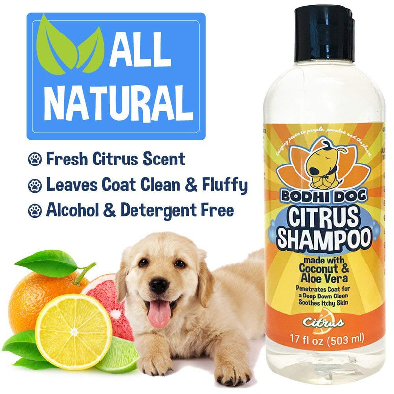 [Australia] - New Refreshing Orange Citrus Dog Shampoo | Coconut and Aloe Vera | All Natural Soothing & Moisturizing Pet Dog Puppy and Cat Wash - Made in USA - 1 Bottle 17oz (503ml) 