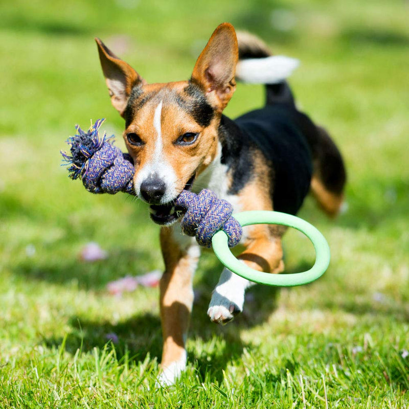 Beco Pets Hoop on Rope - Natural Rubber Hoop and Cotton Rope Tug and Chew Toy for Dogs - S - Pink - PawsPlanet Australia