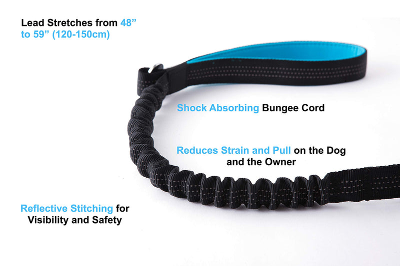 MeoWoof Bungee Dog Lead Shock Absorber- Strong Leash 48" to 59" Long with Soft Padded Handle, Car Safety Buckle & Traffic Handle - Reflective Threads for Small, Medium, Large Dogs (Blue Lead) Blue Lead - PawsPlanet Australia