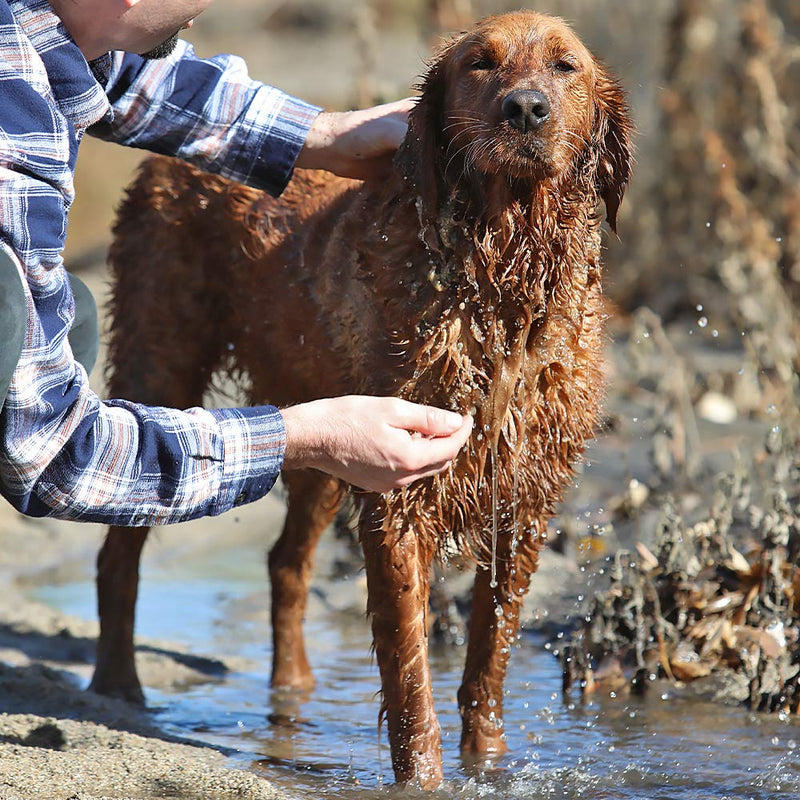 [Australia] - Grip Clean | All Natural Dog Shampoo and Conditioner - Heavy Duty For Outdoor/Stinky dogs - Aloe vera, Tea Tree Oil, Coconut Oil, Rice Bran, Vitamin E 